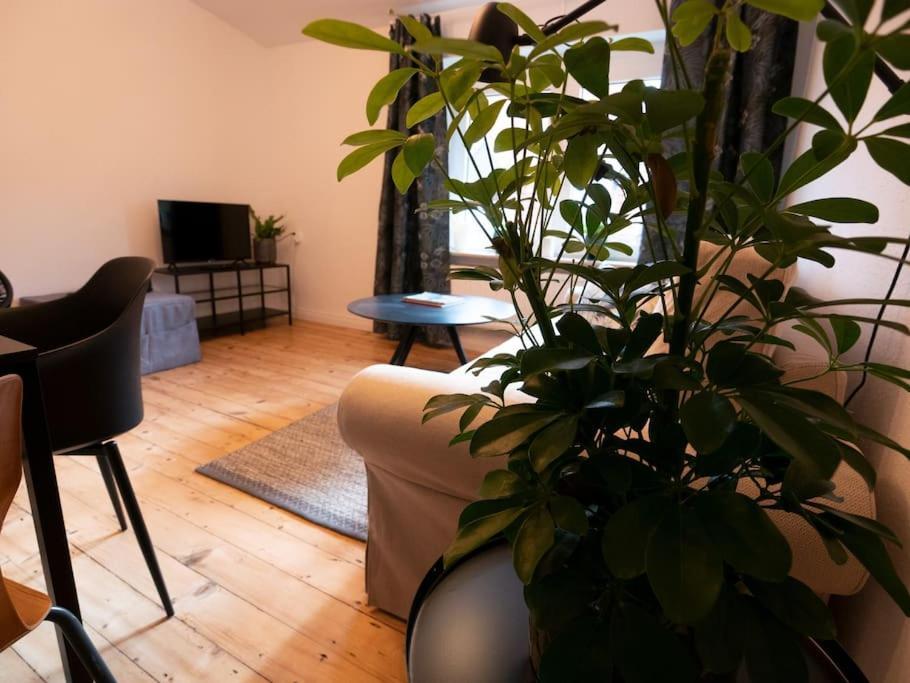 Apartamento Natuerlich Mit Stil - 24-7 Und Check-In Kiel Exterior foto